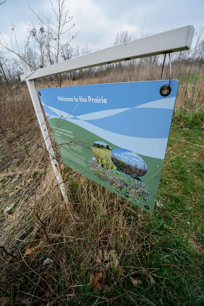 PHOTOS: Take a walk through beautiful Cox Arboretum this spring