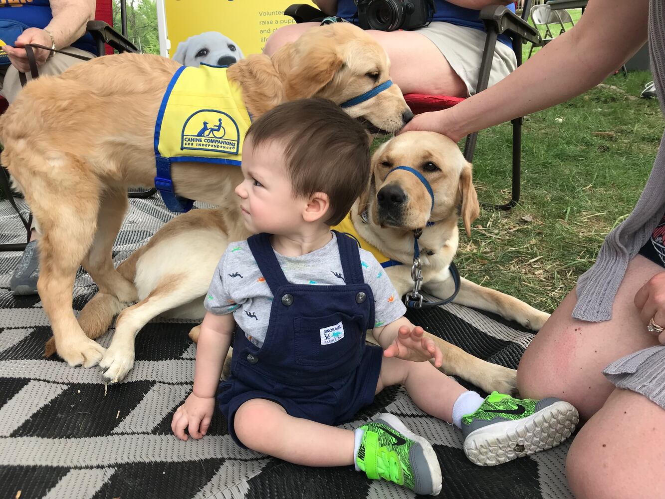 PHOTOS: We saw baby pigs and baby goats- did we see YOU at the Aullwood’s Farm Babies Fest?