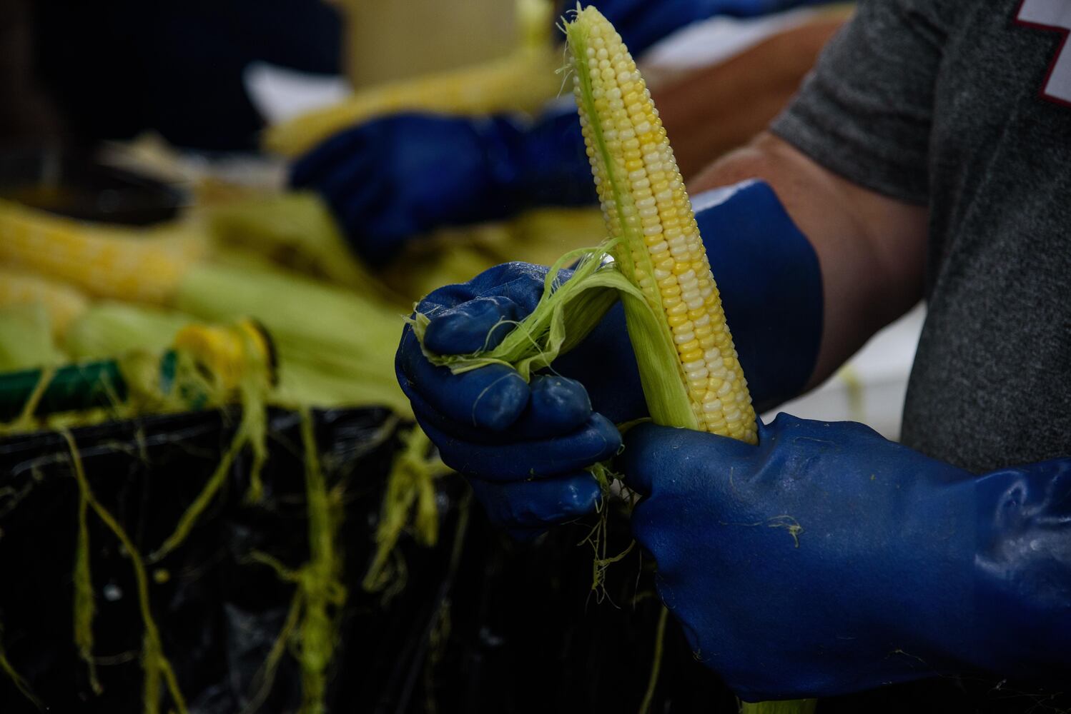 PHOTOS: Did we spot you at the Fairborn Sweet Corn Festival?