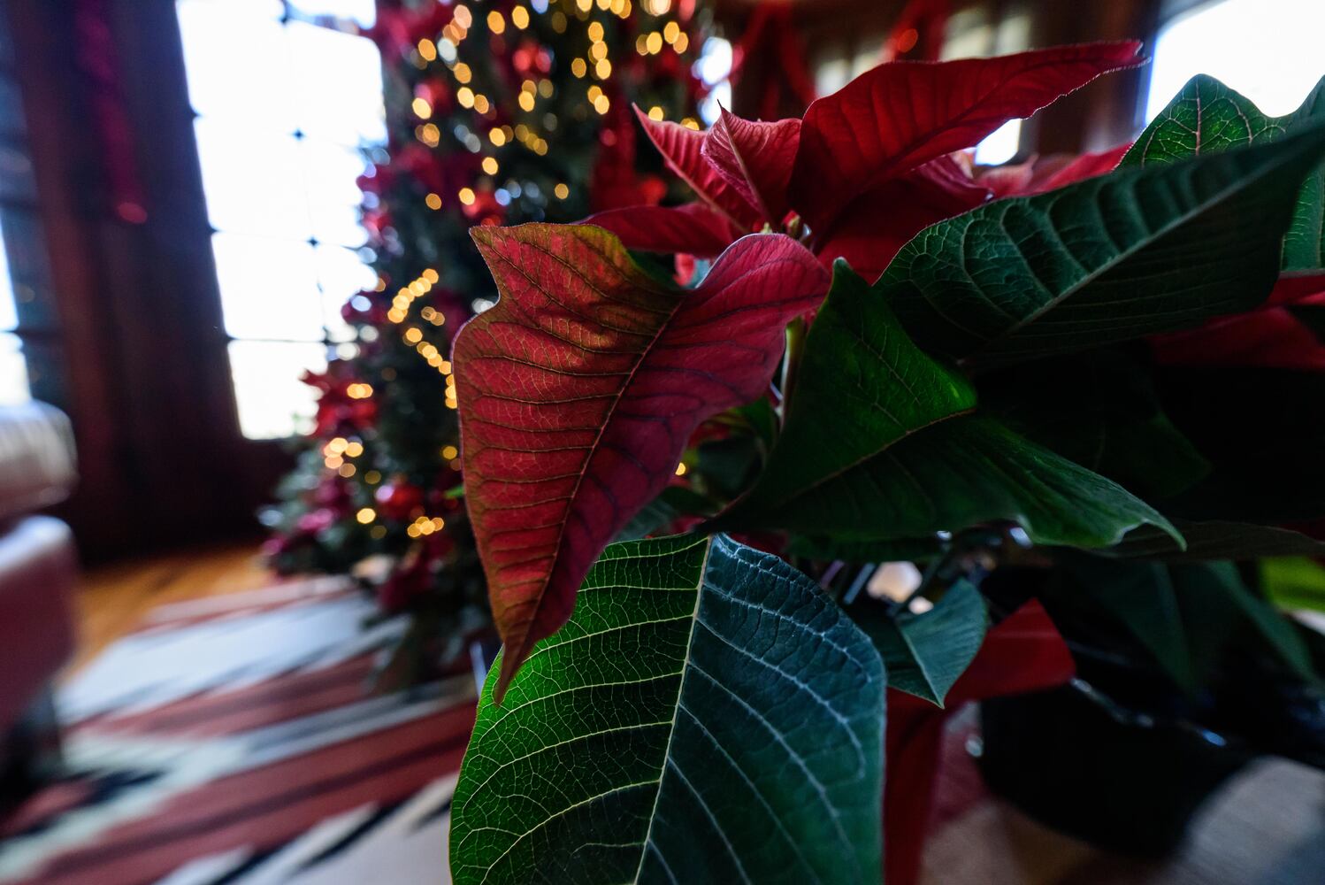 PHOTOS: The Oakwood Historical Society’s Third Annual Holiday Home Tour
