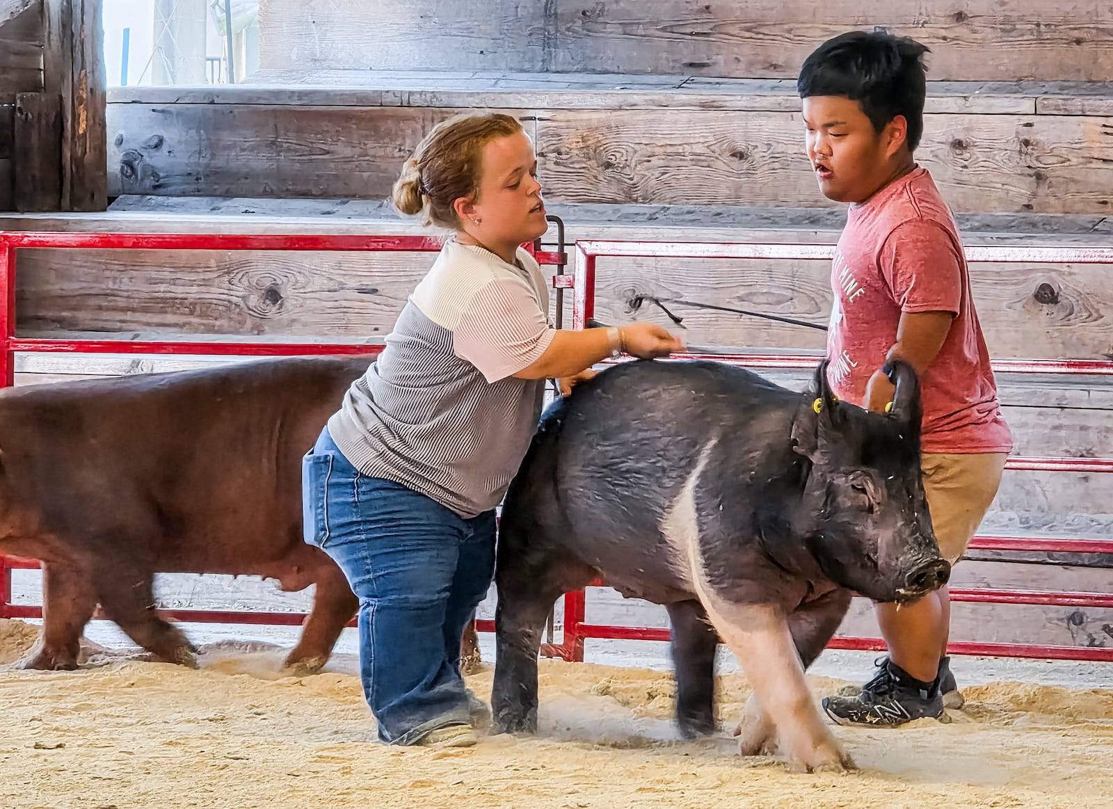 Allie Smith, left, teaches Alex Johnston, from the television show "7 Little Johnstons", how to show animals at the Butler County Fair Monday, July 21, 2025 in Hamilton. Johnston and some of his family had a film crew following them around the fair creating content for the show. NICK GRAHAM/STAFF