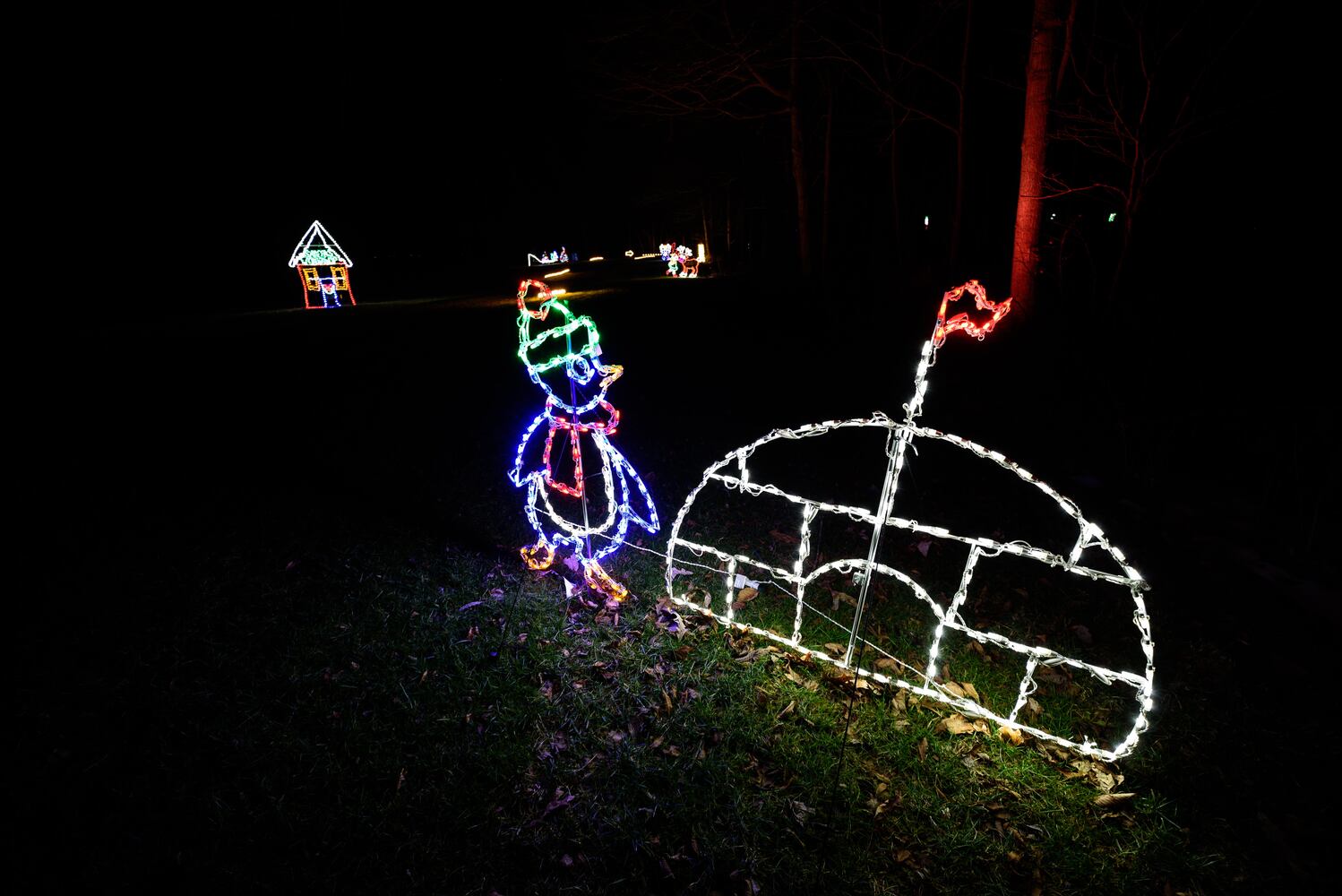 PHOTOS: Holiday Lights dazzle at Lost Creek Reserve in Troy