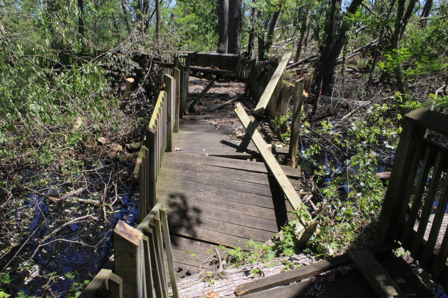 Photos: ‘extraordinary’ damage to parts of  Wegerzyn MetroPark, some parts mostly untouched