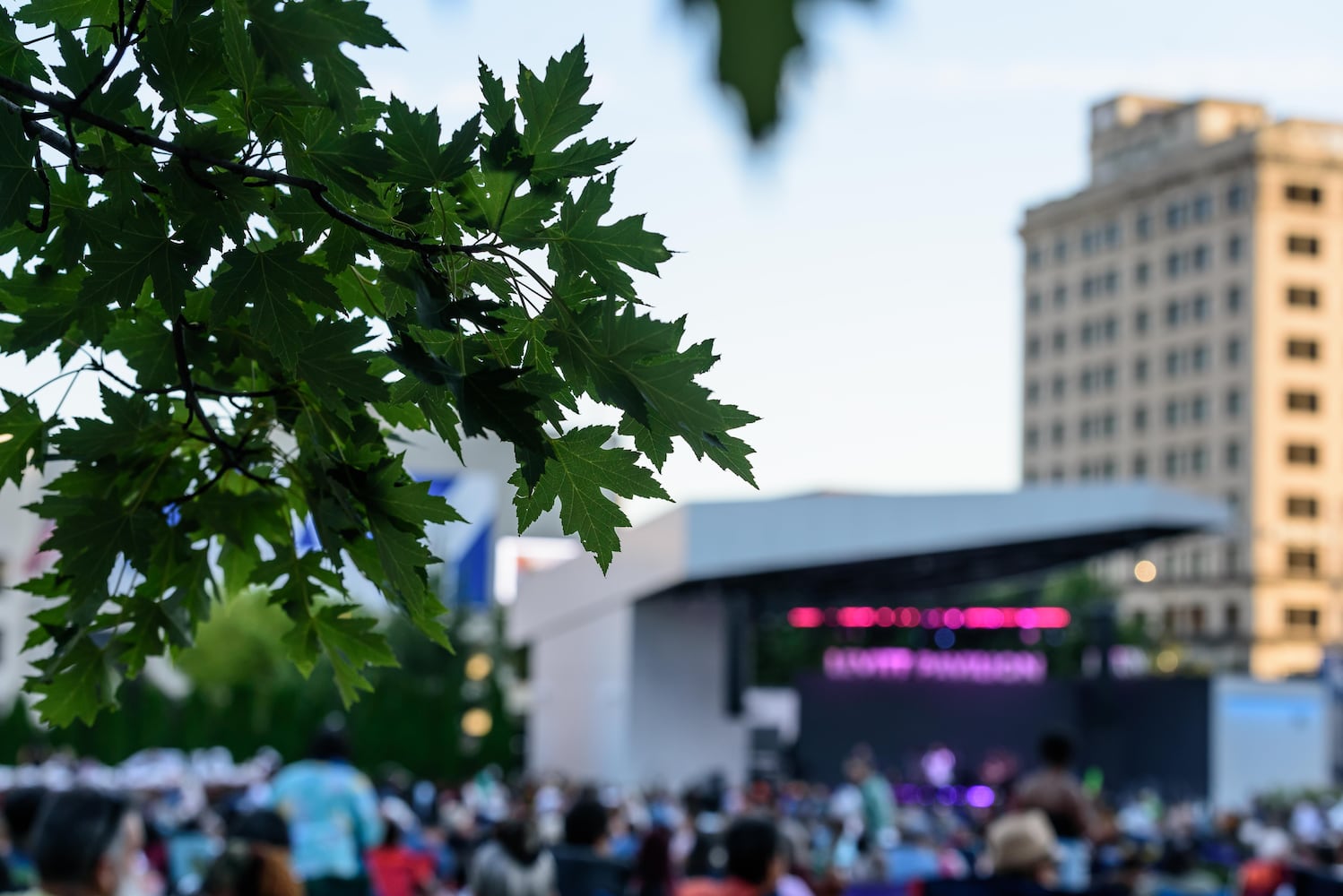 PHOTOS: 2025 Amplified Series Reggae Fest at Levitt Pavilion