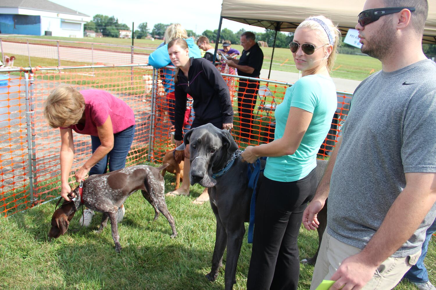 Dogs have some fun in the water at the annual Doggie Dash 'N Splash