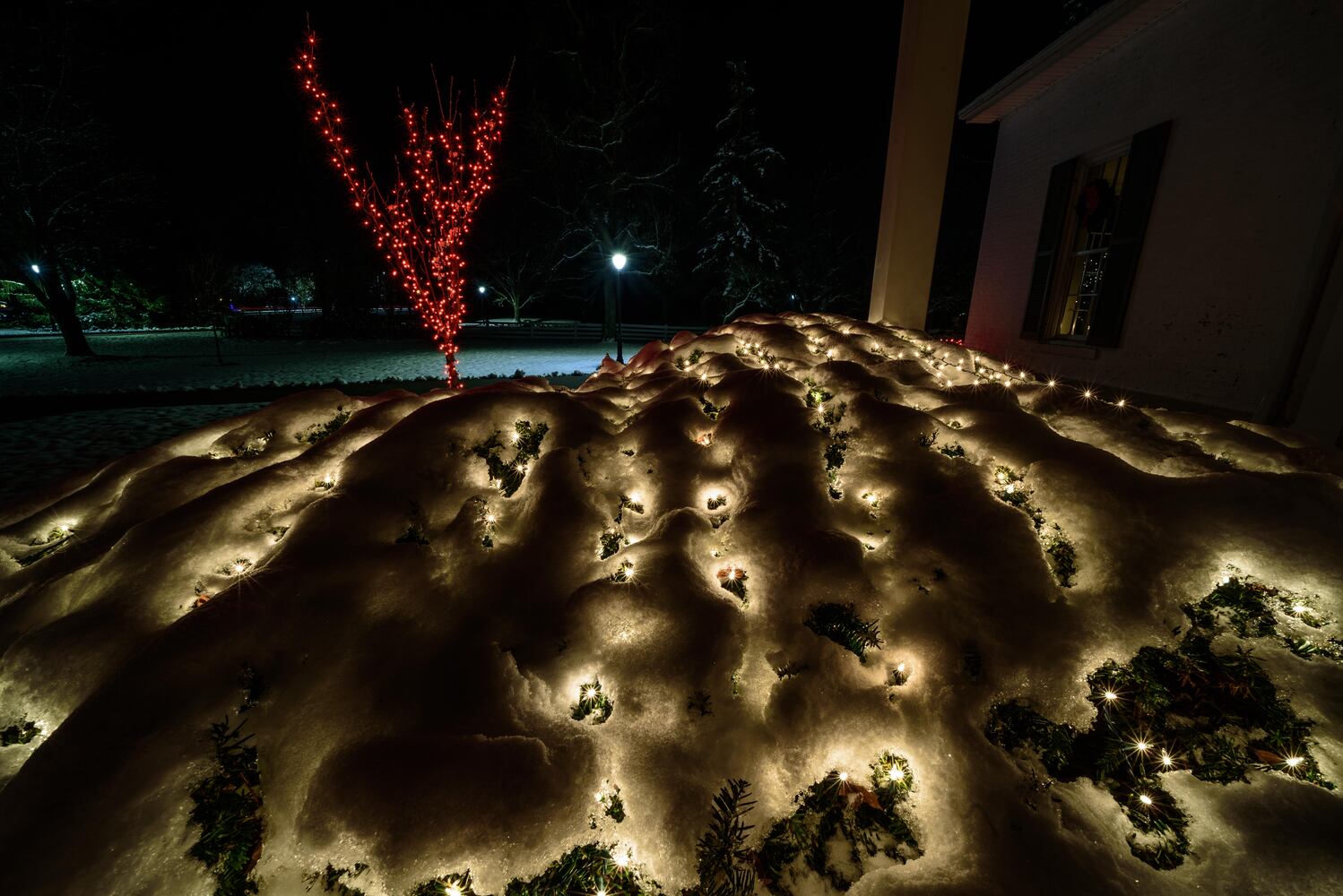 PHOTOS: Polen Farm light up for the holidays will take your breath away
