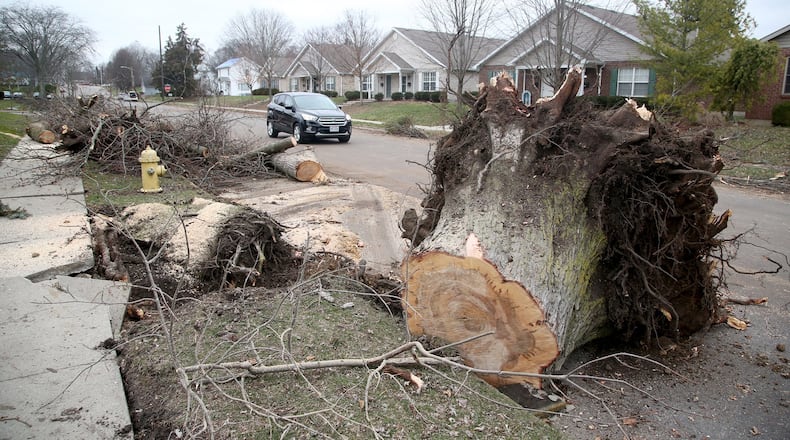 An EF0 tornado, lasting two minutes, touched down in Troy on Saturday night, damaging buildings and splintering trees. A tree along Drury Lane was uprooted in the storm. LISA POWELL / STAFF