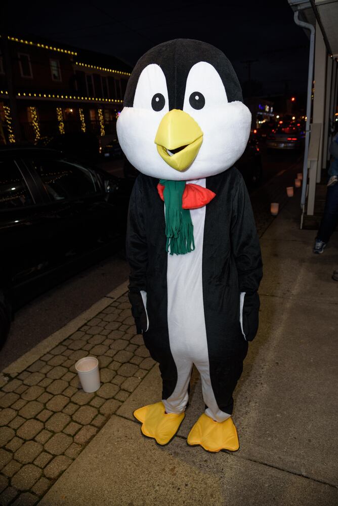 PHOTOS: Did we spot you at Waynesville's Christmas in the Village?
