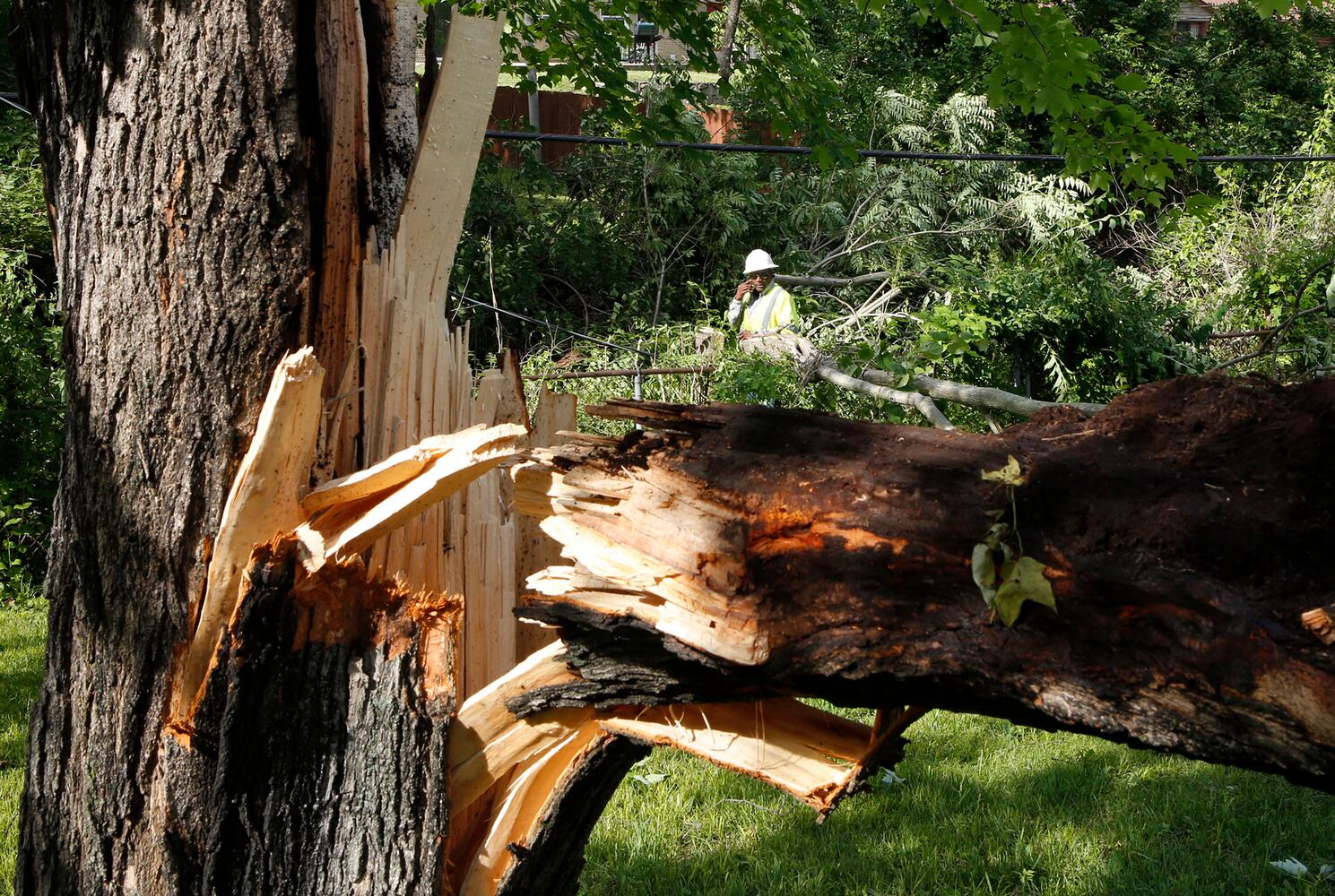 Tornado Damage Clean Up