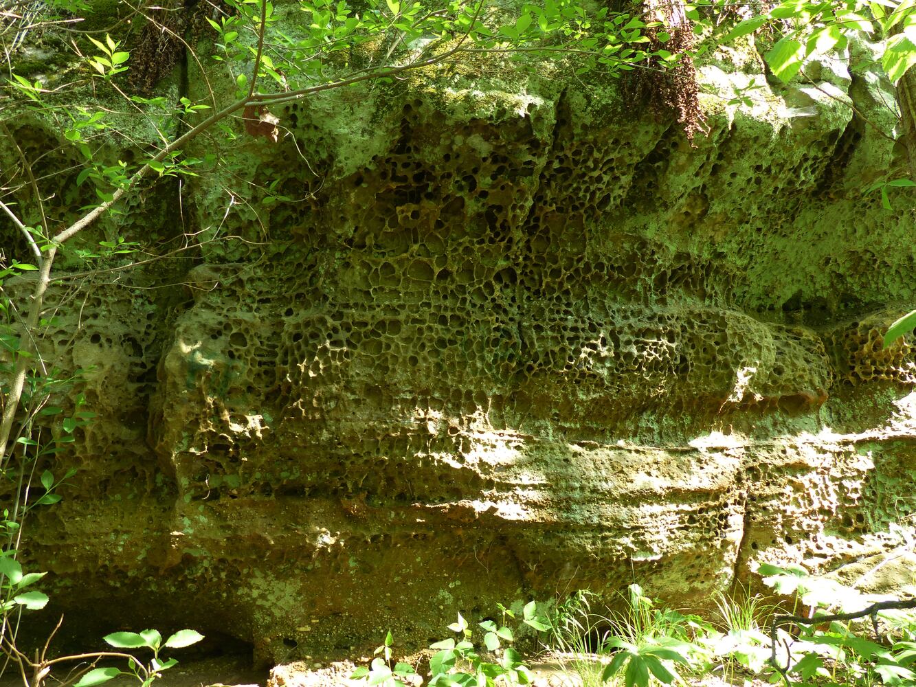 Leo Petroglyph State Memorial