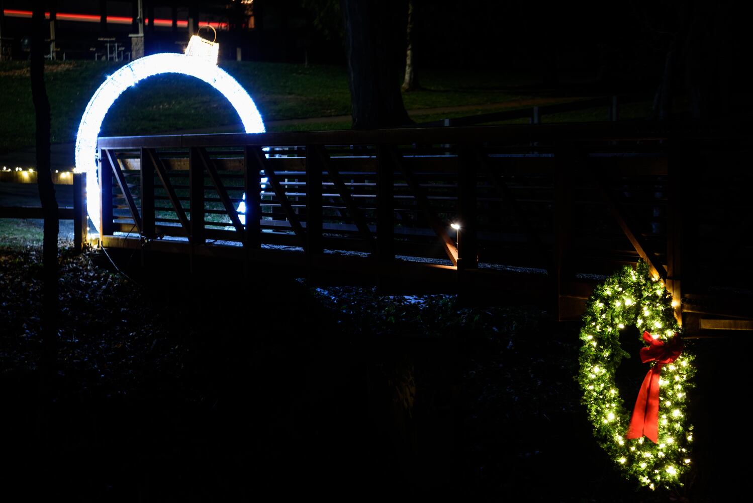 PHOTOS: Holiday at the Falls in Cedarville