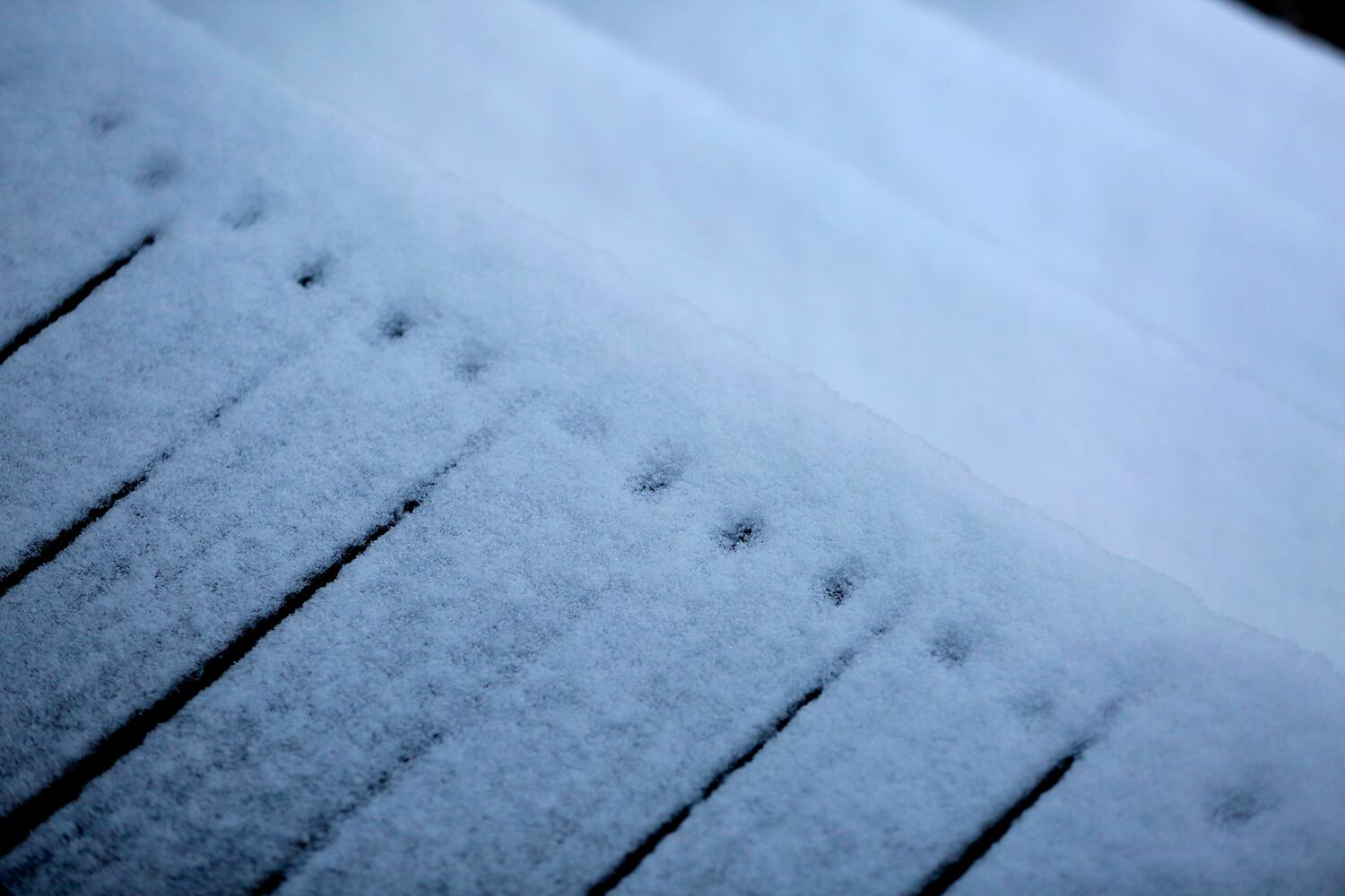 Snowy details and patterns