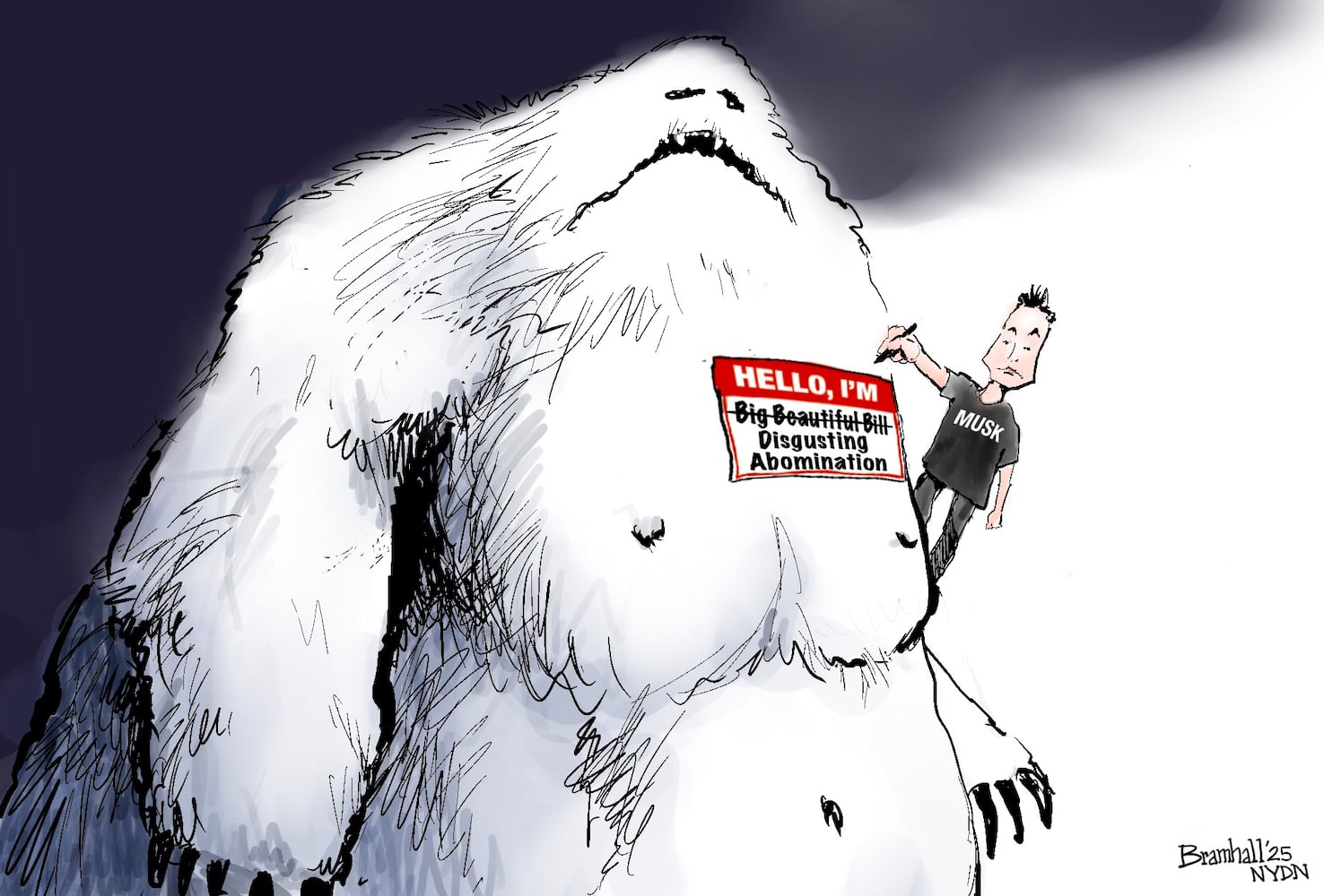 CARTOONS: Bill Bramhall, June 7,  2025