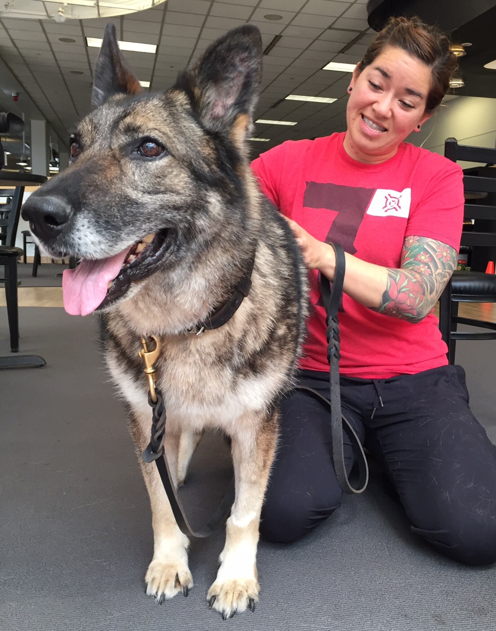 Military dog Floor was reunited with her handler SSgt. Amanda Urie at the Dayton airport today following a trip from south Korea where the dog was stationed with Urie two years ago. Floor has retired and will now stay with Urie permanently. TY GREENLEES / STAFF