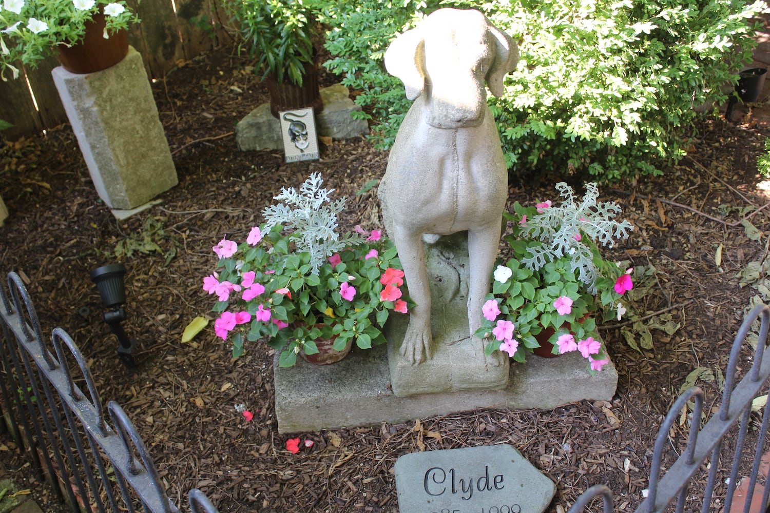 Tobin Denney's spectacular, not so secret St. Anne's garden