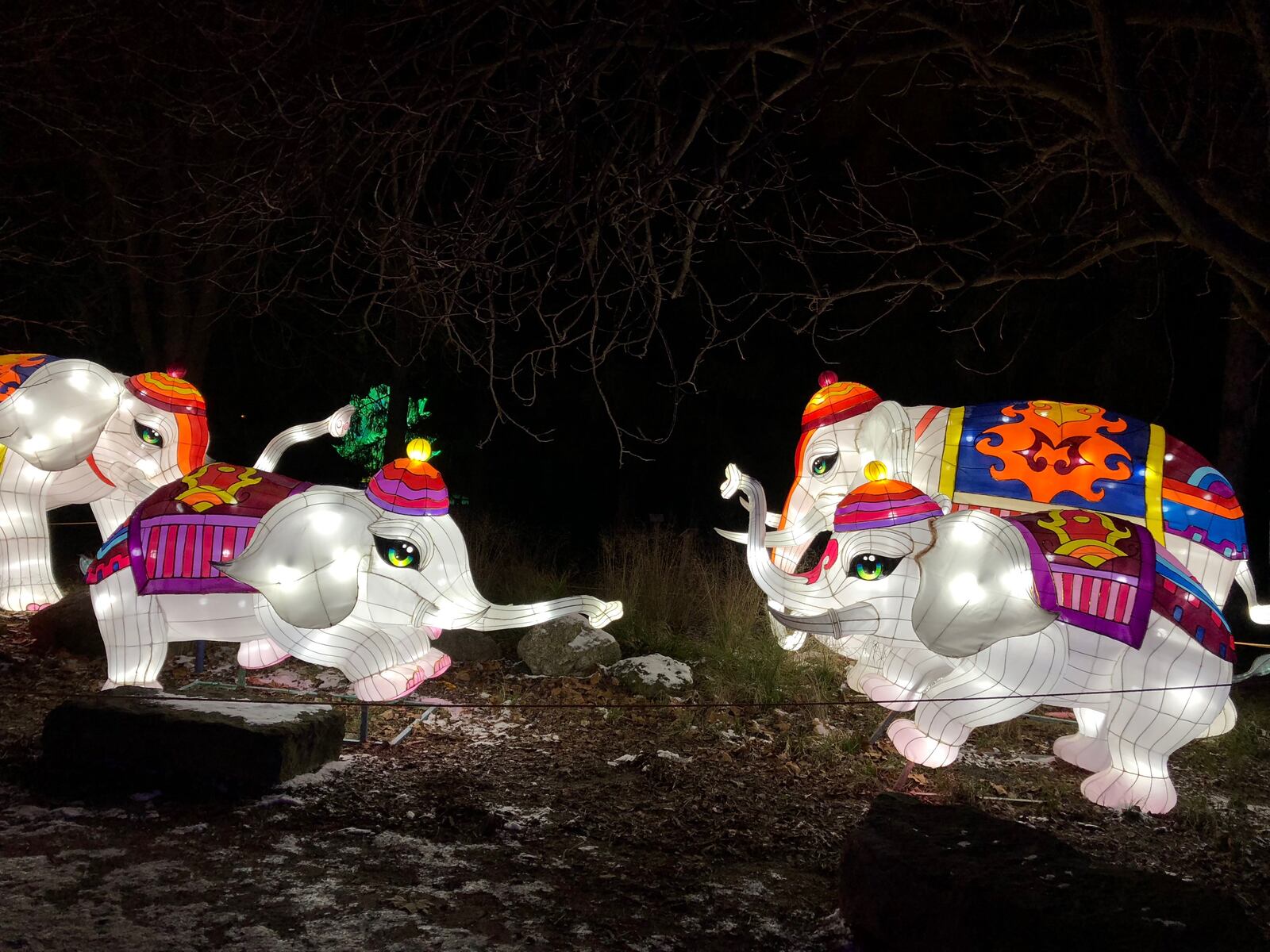 Ohio Chinese Lantern Festival is returning to the Expo Center with bigger and brighter lights this winter!