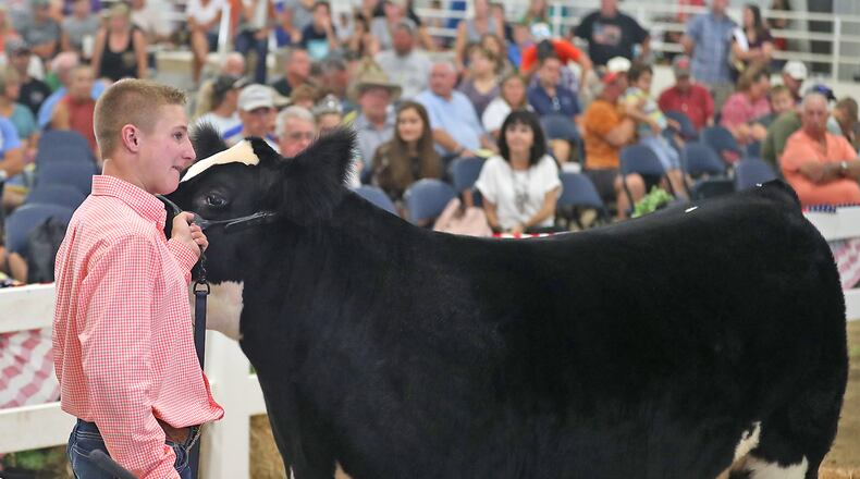 Drew Weymouth, 16, auctions off his Grand Champion Steer on Friday during the Jr. Fair Auction at the Clark County Fair. BILL LACKEY / STAFF