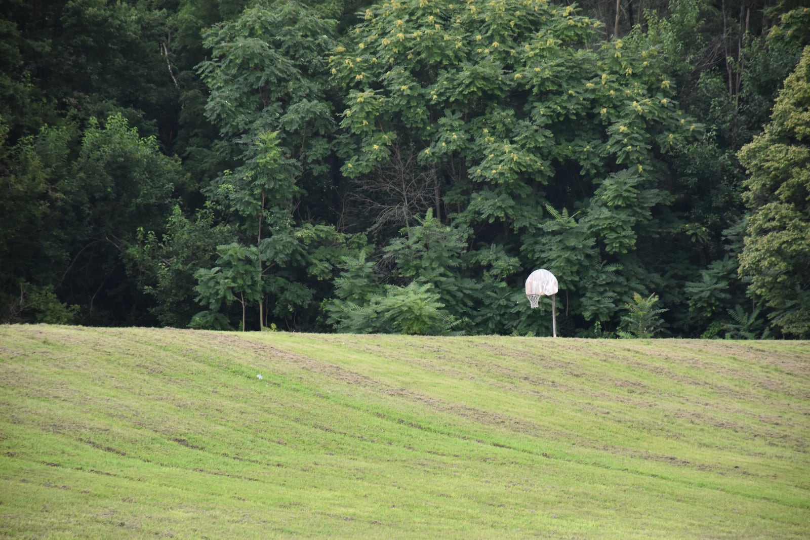 An abandoned basketball hoop on the former site of Orville Wright Elementary. The school closed down and was demolished about 15 years ago. A developer proposes to build a new senior assisted living community on the site. CORNELIUS FROLIK / STAFF