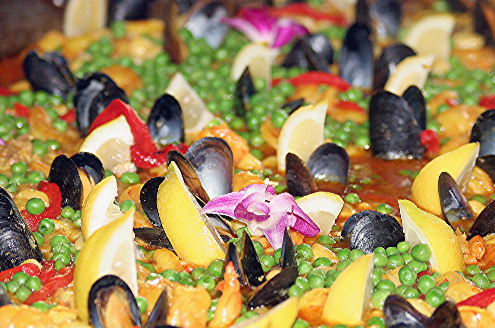 Paella dish from el meson