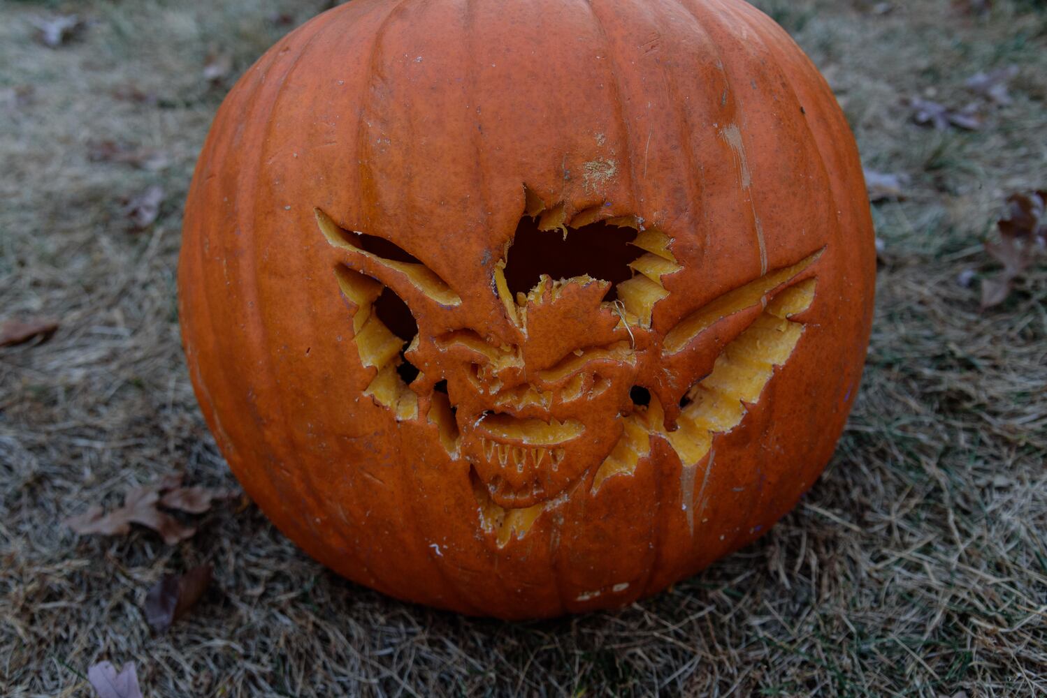 PHOTOS: The Stoddard Avenue Pumpkin Glow