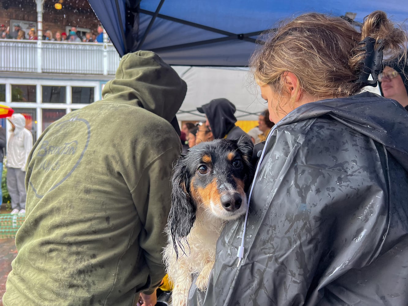 PHOTOS: 2025 Derby Day wiener dog races in the Oregon District