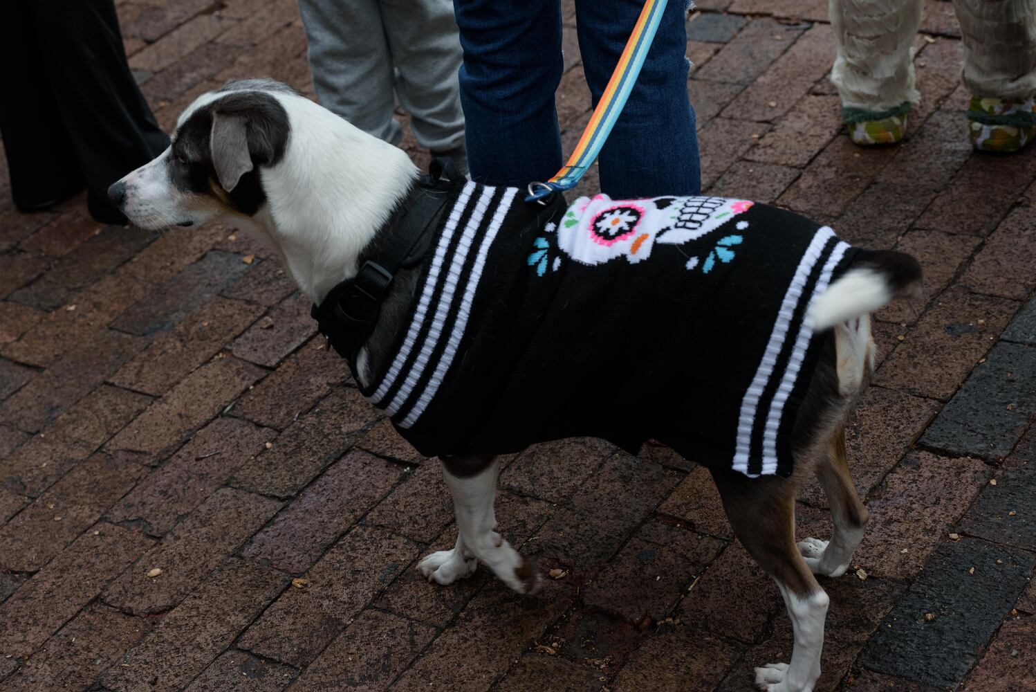 PHOTOS: Dayton Dia de los Muertos Parade & Celebration
