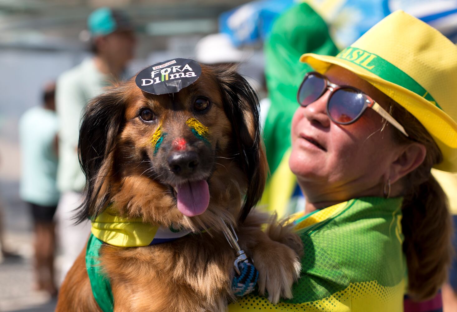 News hounds (4/16/15)