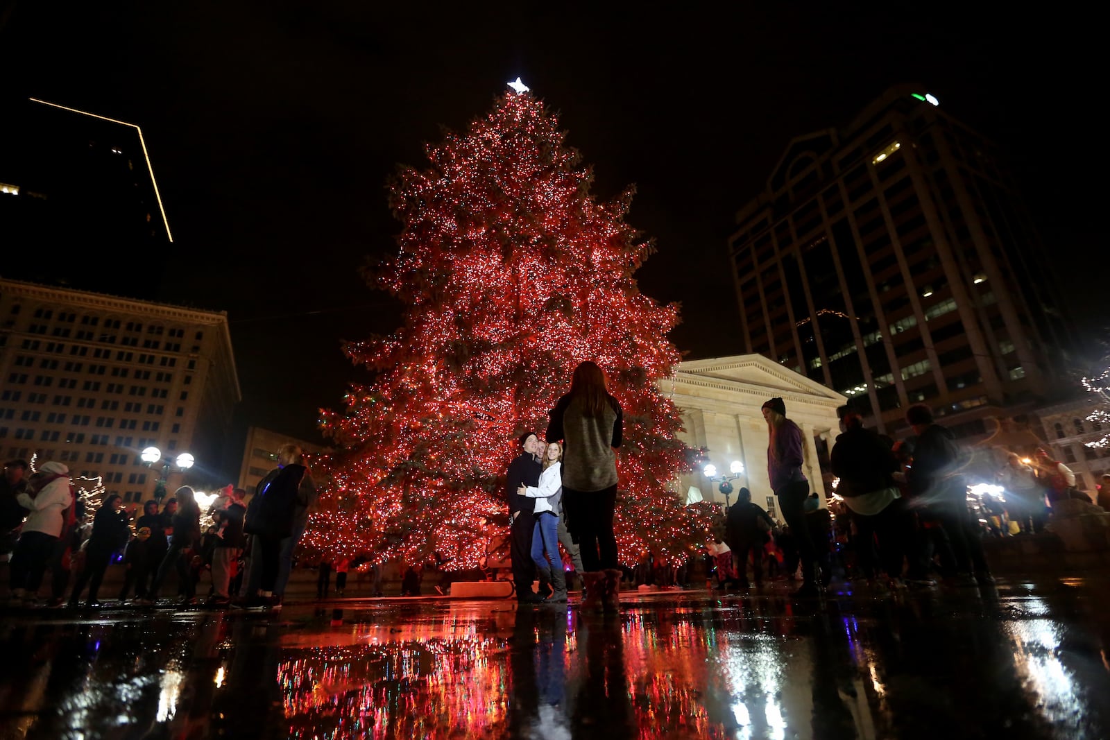 The Dayton Holiday Festival committee is searching for the perfect tree to adorn Courthouse Square and be the centerpiece of the city’s holiday season.  LISA POWELL / STAFF