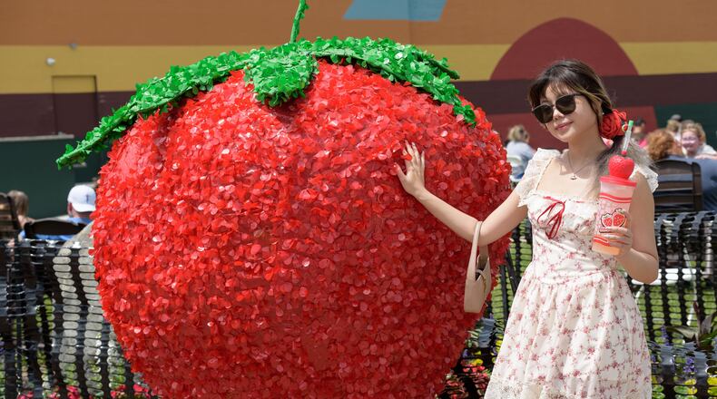 The 48th annual Troy Strawberry Festival took place on Saturday, June 1 and Sunday, June 2, 2024 in downtown Troy and the Great Miami River levee. Featured festivities included strawberry themed foods, vendors, live music and more. Here are scenes from Saturday plus a behind the scenes glimpse at the making of the festival’s famous strawberry donuts by Troy Music Boosters volunteers at Troy Memorial Stadium. This year’s festival theme was Blooming Berries. TOM GILLIAM / CONTRIBUTING PHOTOGRAPHER
