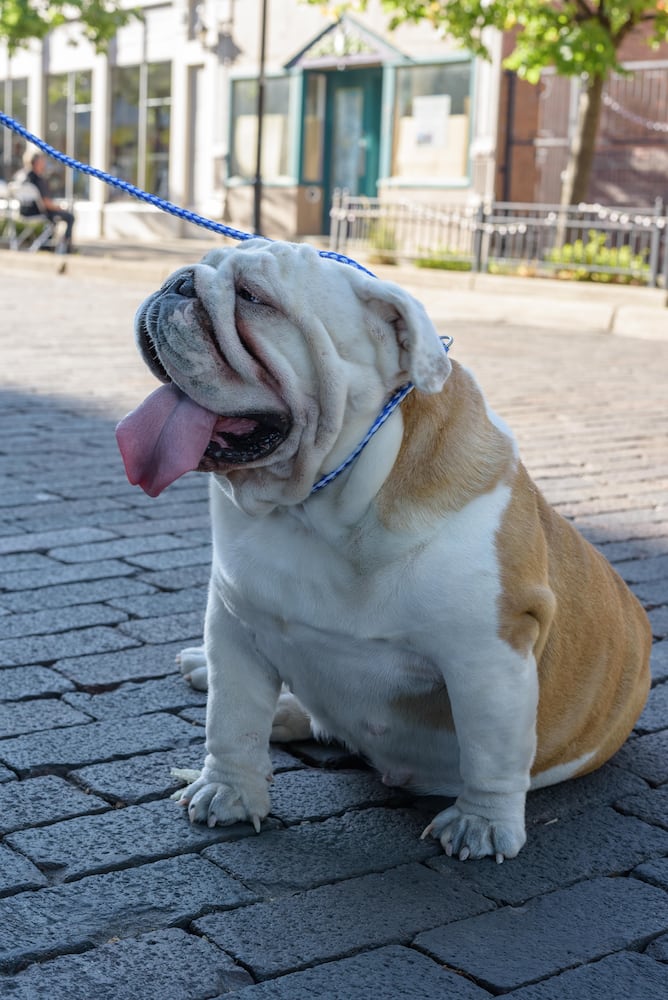 PHOTOS: Did we spot you Out on Fifth?