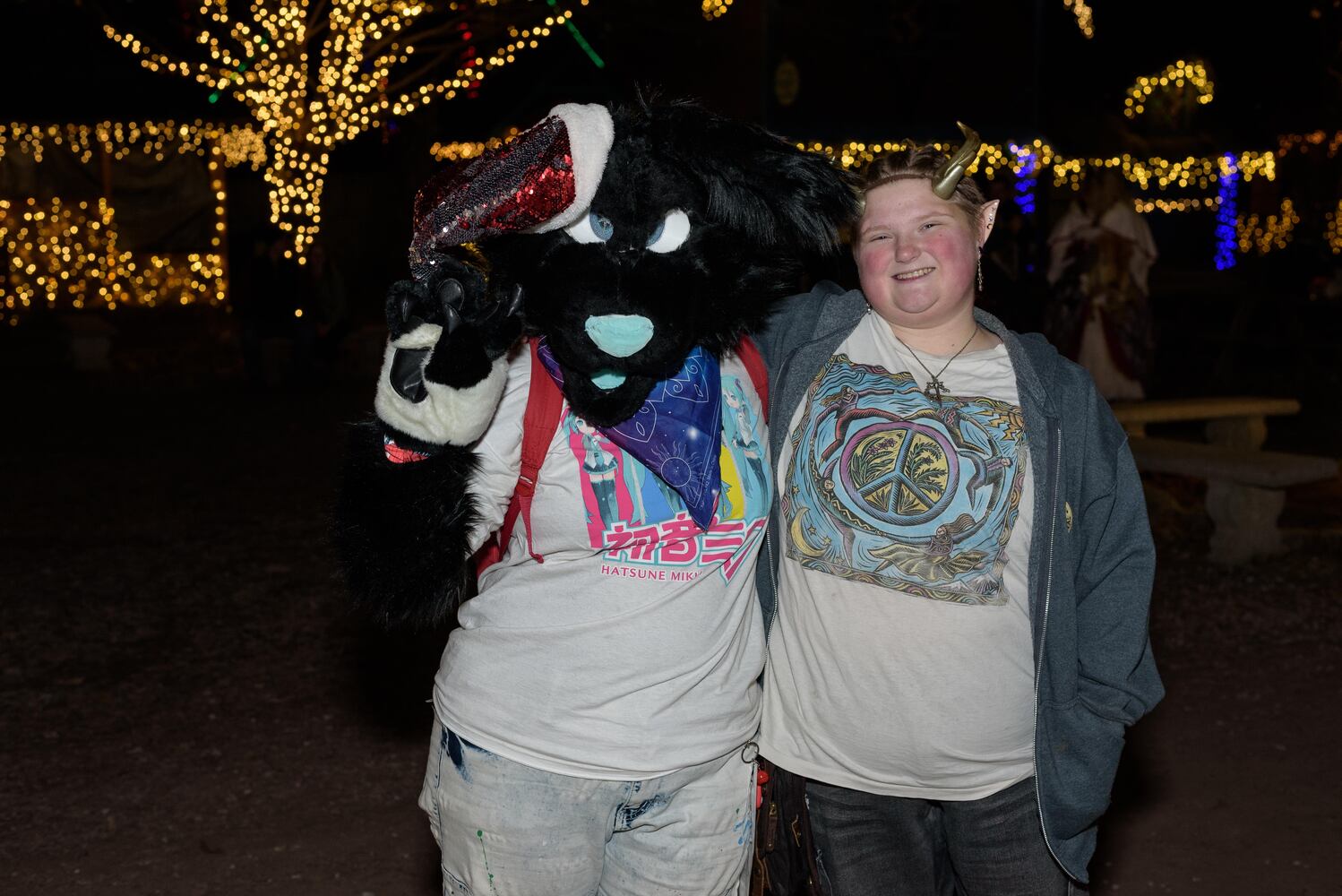PHOTOS: Yuletide Village: Season of Lights at Renaissance Park Event Center