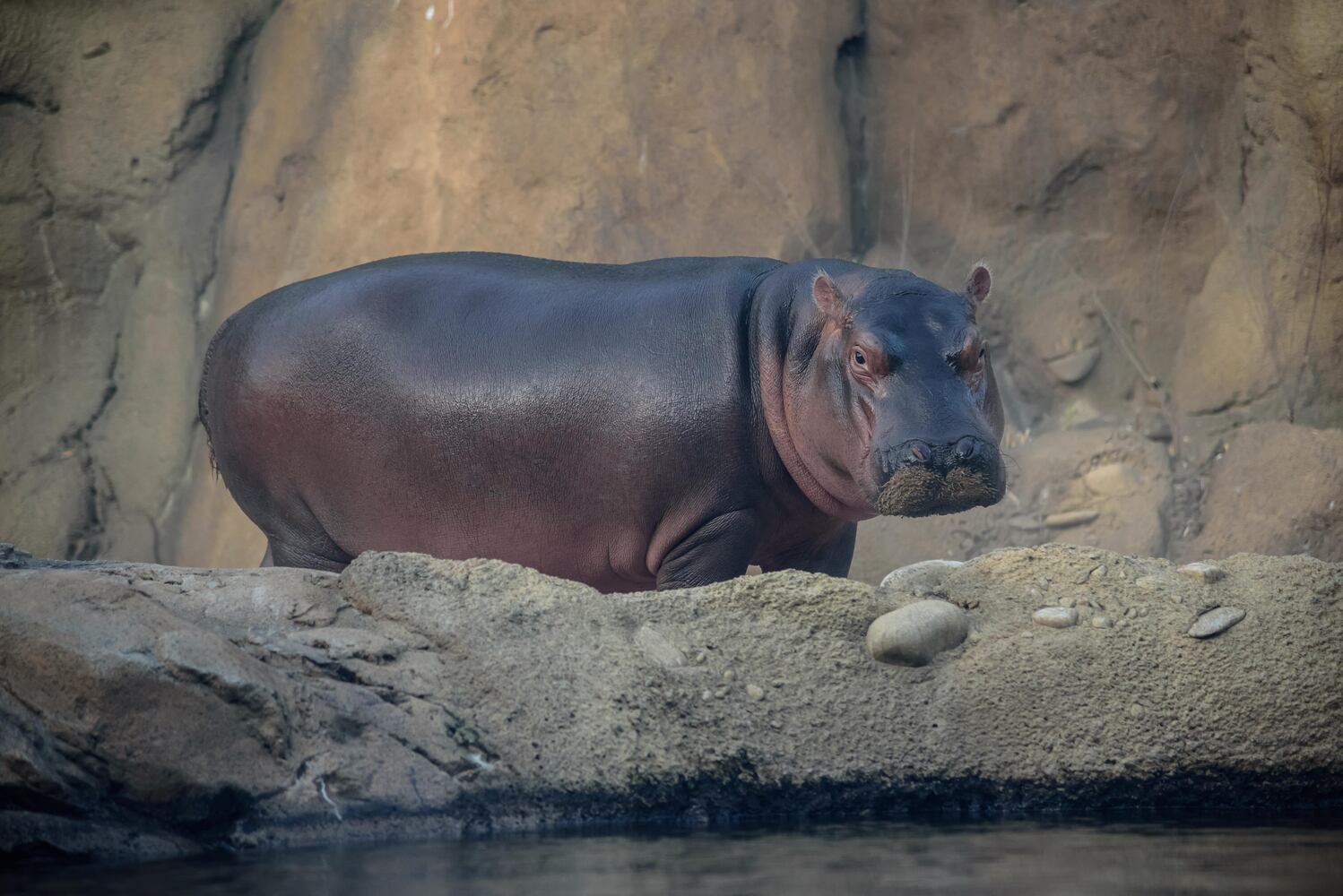 BEHIND THE SCENES: Take a look at what Fiona and Bibi are up to after hours