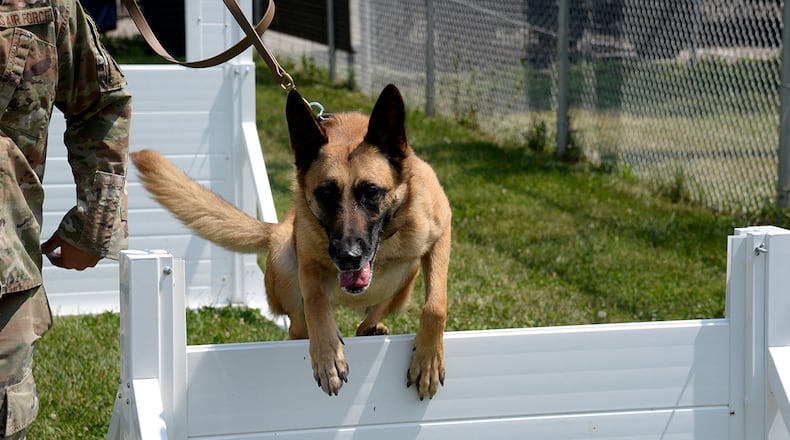 Mesha, an 88th Security Forces Squadron military working dog, and her handler, Staff Sgt. Matthew Watkins, run through hurdles Aug. 18 on the new MWD obstacle course at Wright-Patterson Air Force Base. U.S. AIR FORCE PHOTO/AIRMAN 1ST CLASS JACK GARDNER