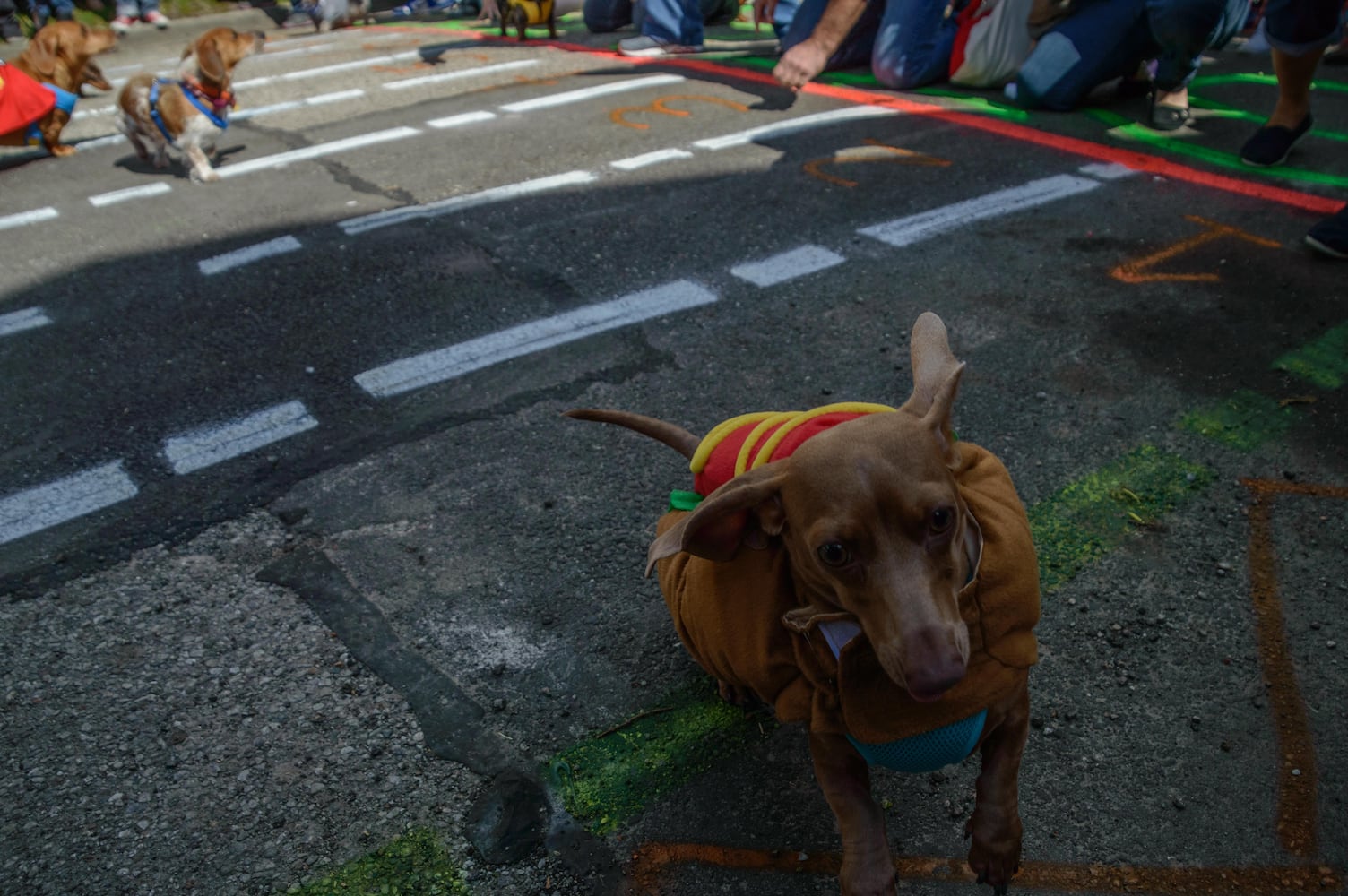 Derby Day in the Oregon District 2017