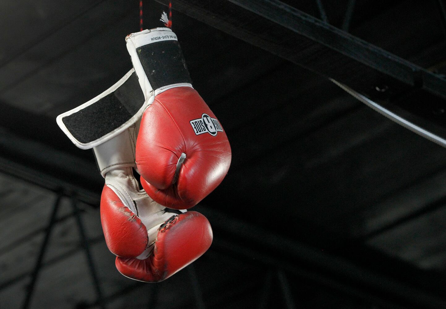 Boxing beats symptoms of Parkinson's disease