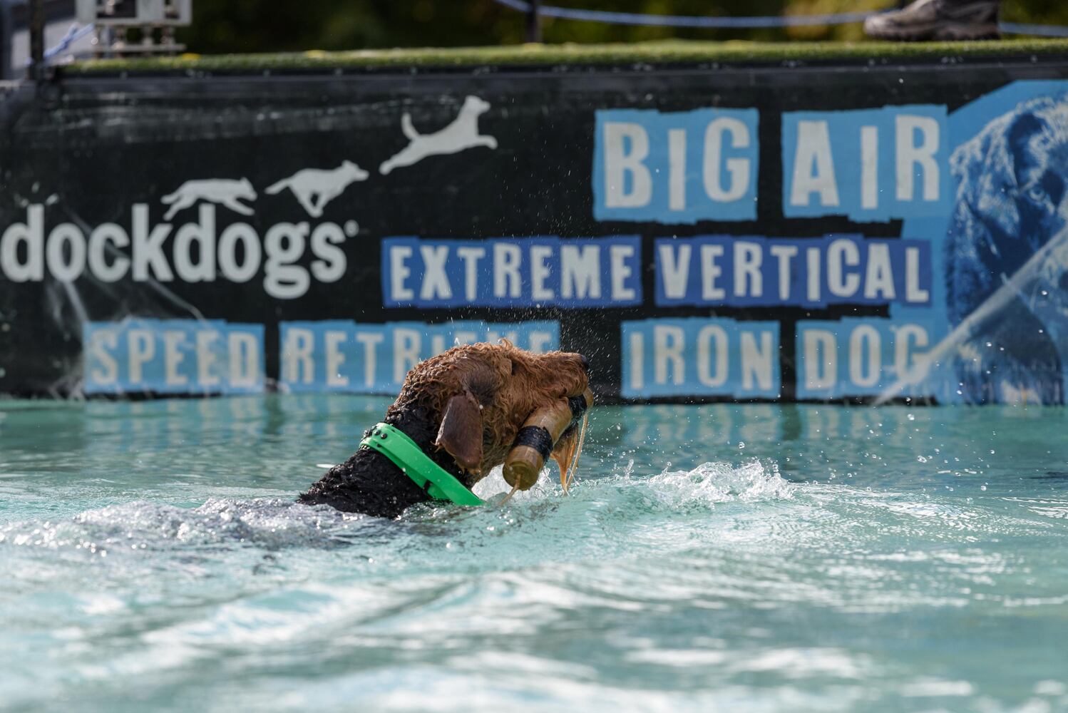 PHOTOS: Did we spot you at the Wagner Subaru Outdoor Experience at Eastwood MetroPark?