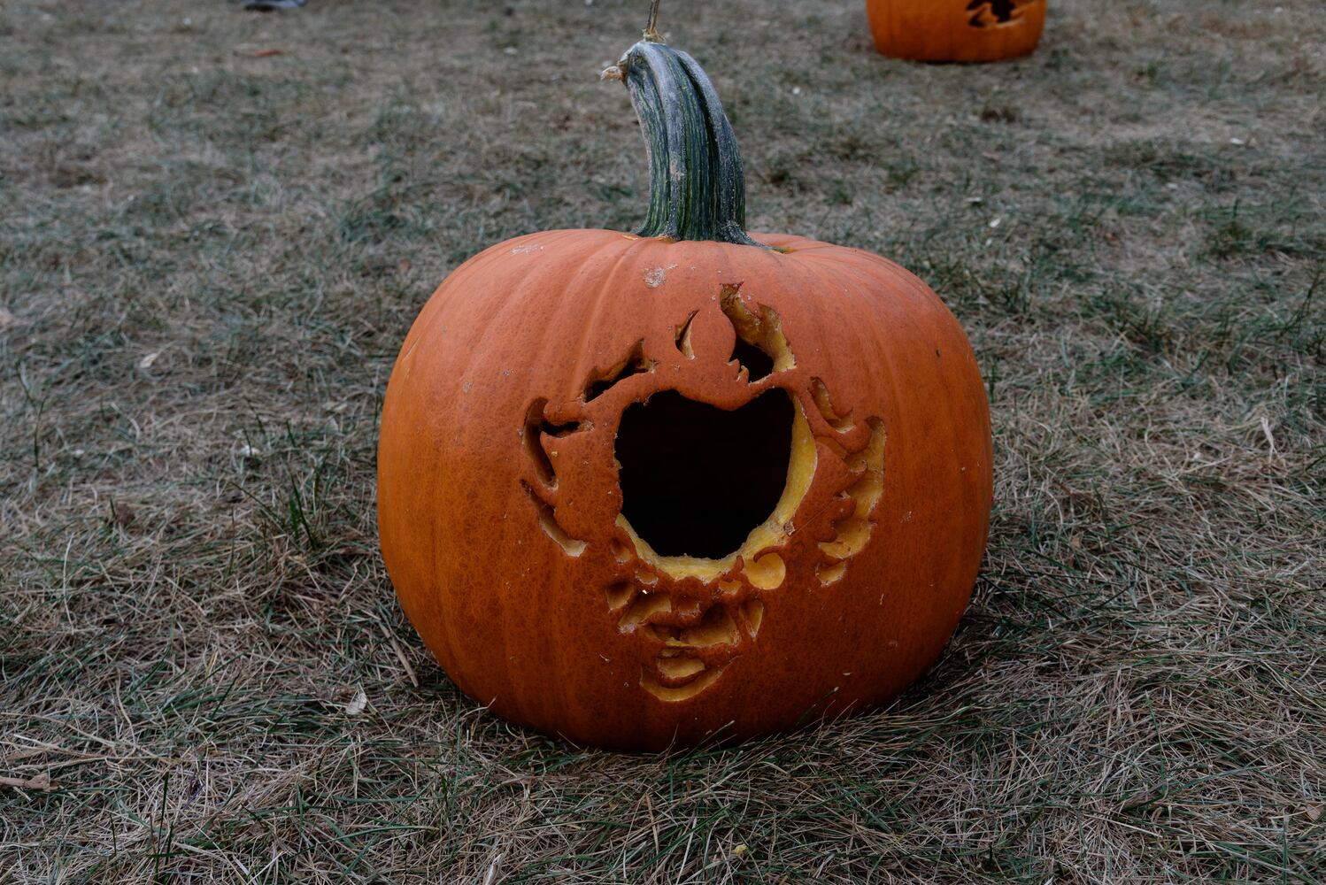 PHOTOS: The Stoddard Avenue Pumpkin Glow