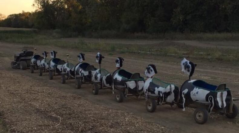 Corn maze, u-pick pumpkins, and a cow train ride are among the activities at McMonigle Farm near Franklin. CONTRIBUTED