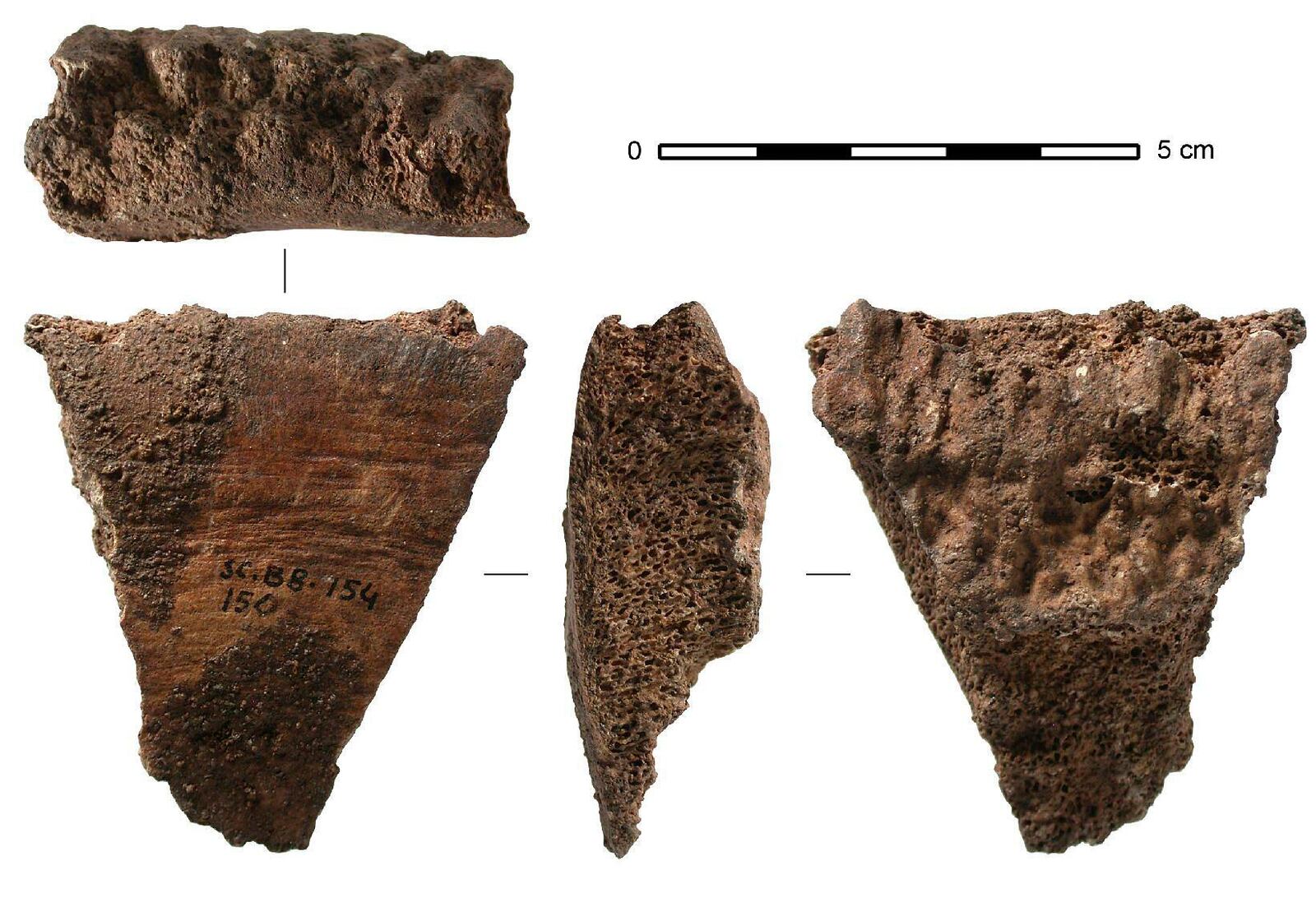This image provided by Jean-Marc Pétillon shows photos of a whale backbone fragment that was excavated by Eduadro Berganza in 1995 from a cave in Santa Catalina, Spain. The photos were taken October 2019, in the Traces Laboratory in Toulouse, France. (Jean-Marc Pétillon via AP)