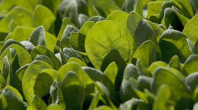 The Centers for Disease Control and Prevention issued a food safety alert about a multistate E. coli outbreak linked to baby spinach sold in seven states, including Ohio.