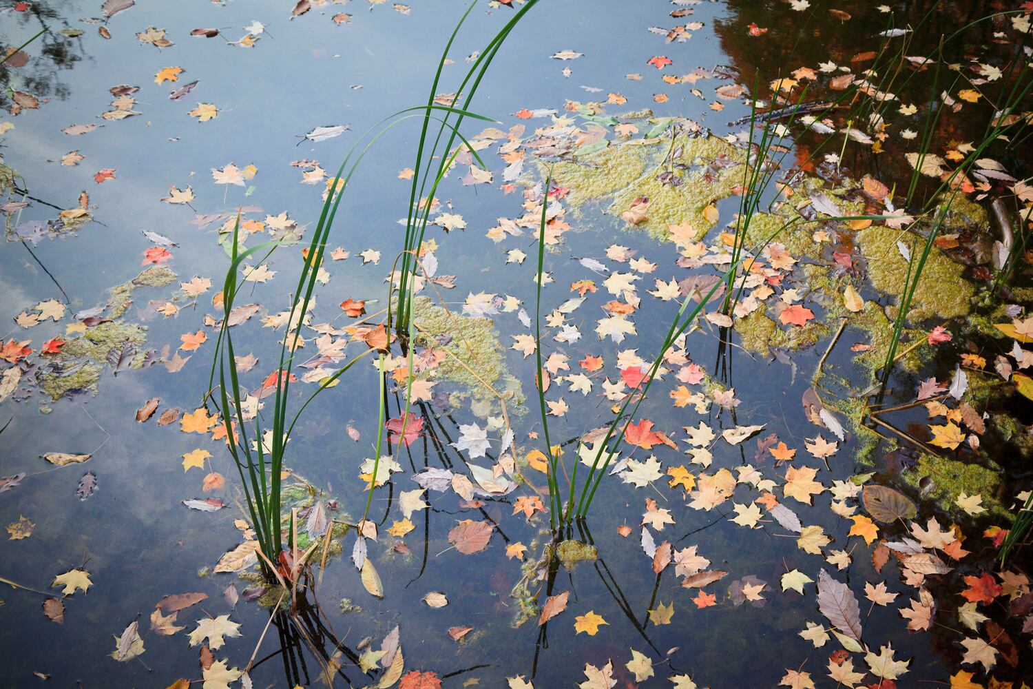 Photos: The art Dayton photographer Andy Show, Ohio’s 2020 Individual Artist