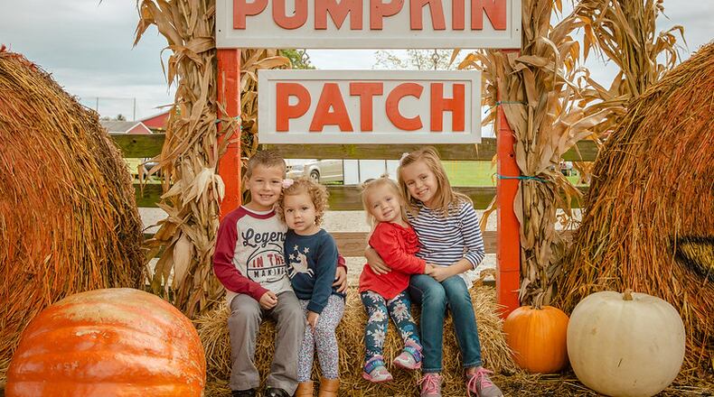 Fall Farm Family Fun is in full swing at Young's Jersey Dairy. CONTRIBUTED