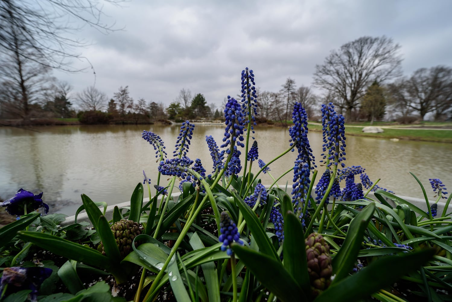 PHOTOS: Take a walk through beautiful Cox Arboretum this spring