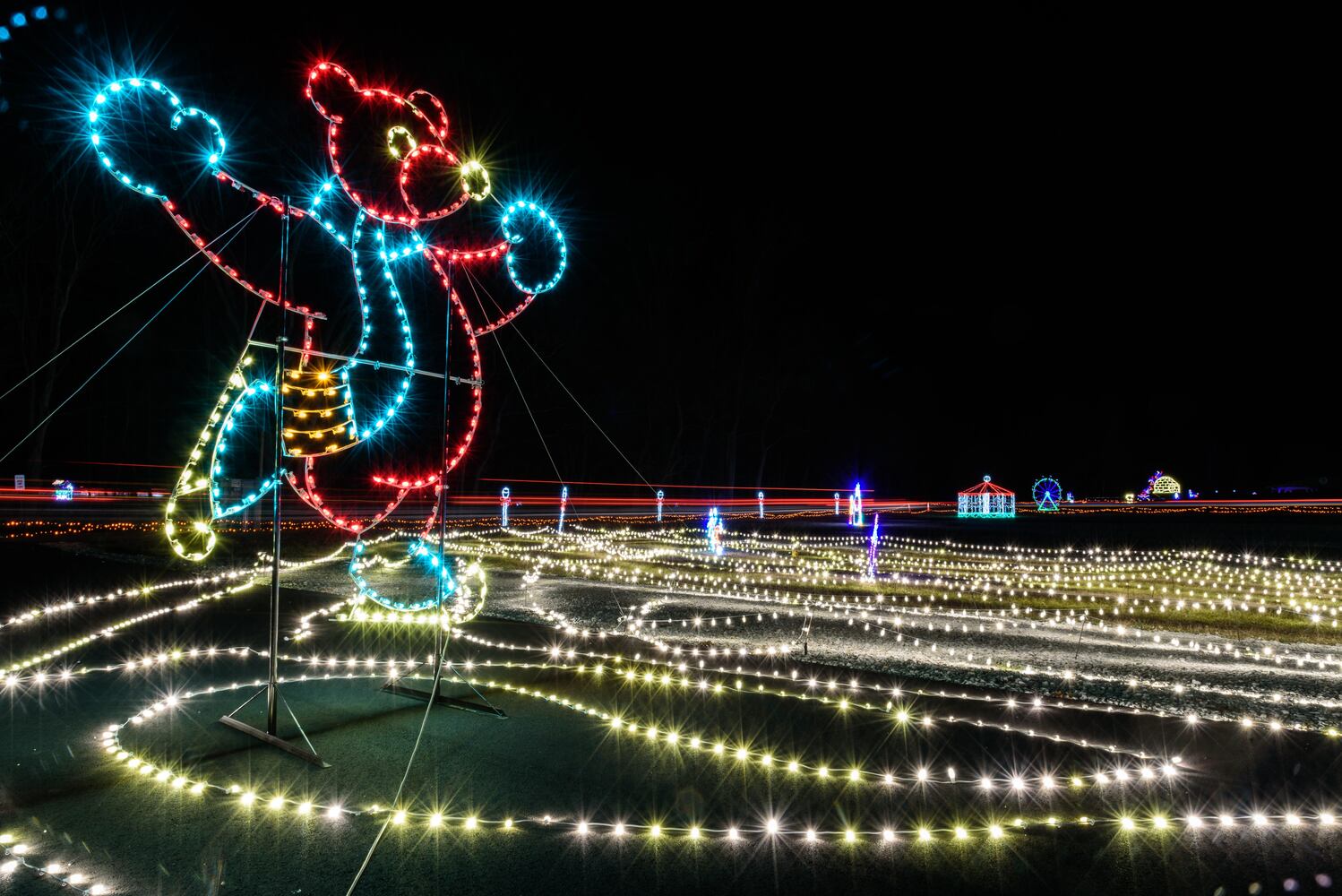 PHOTOS: ParkLights at Caesar Ford Park
