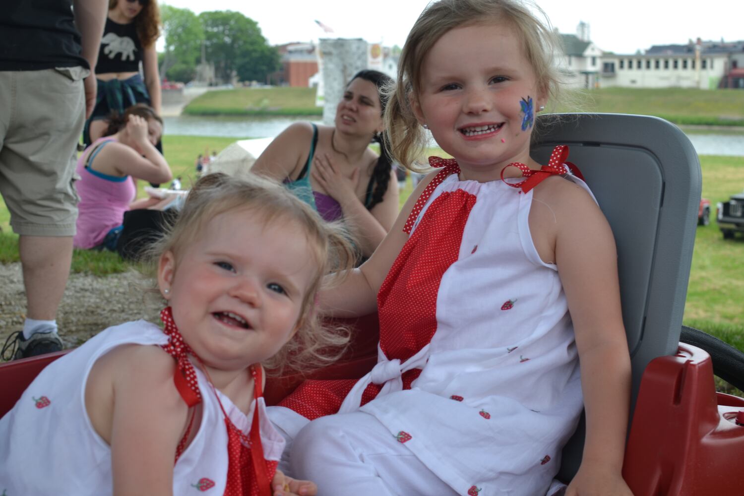 Photos: Another look at 2015 Troy Strawberry Festival