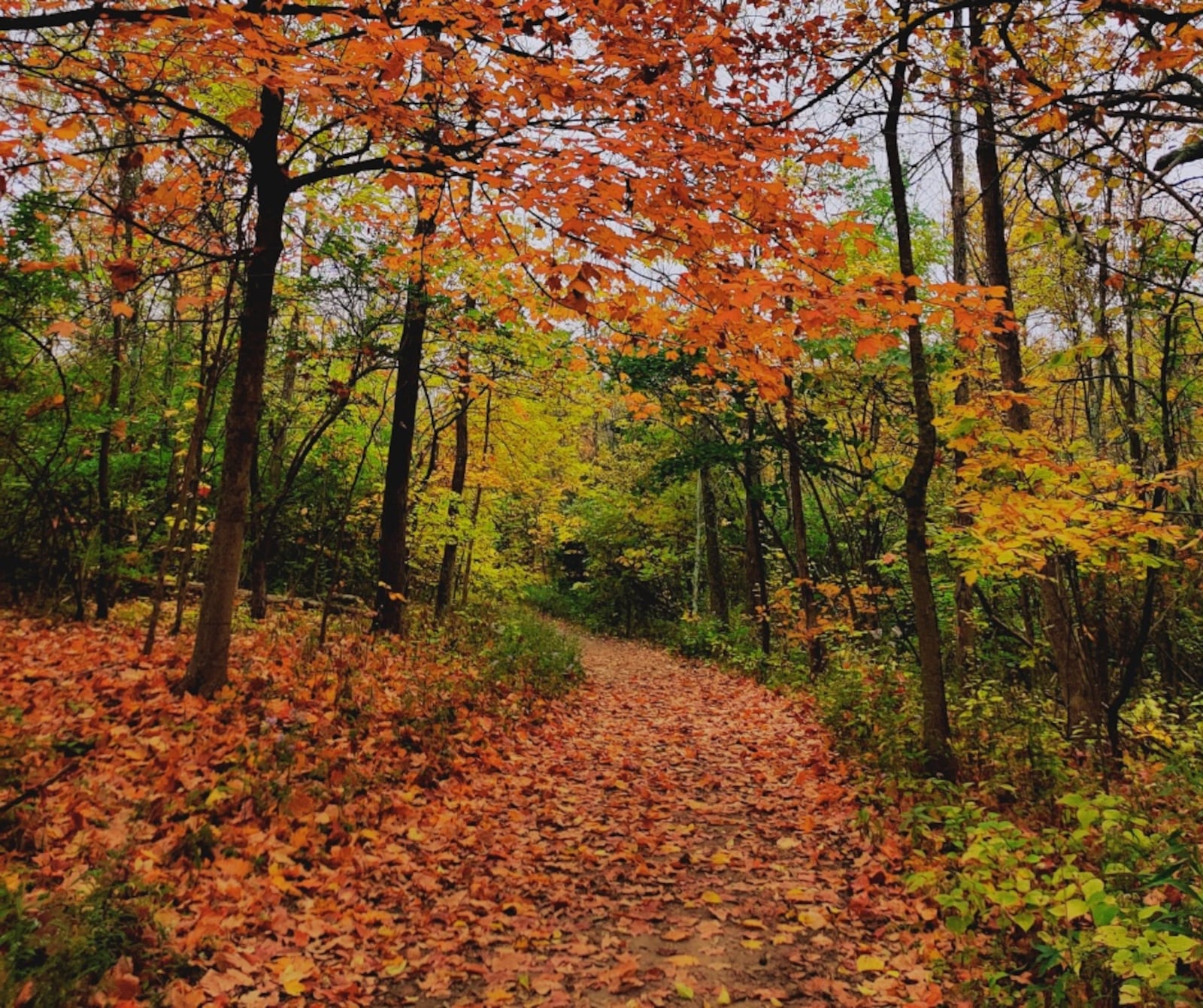 Sugarcreek MetroPark is a favorite fall destination. Contributed 