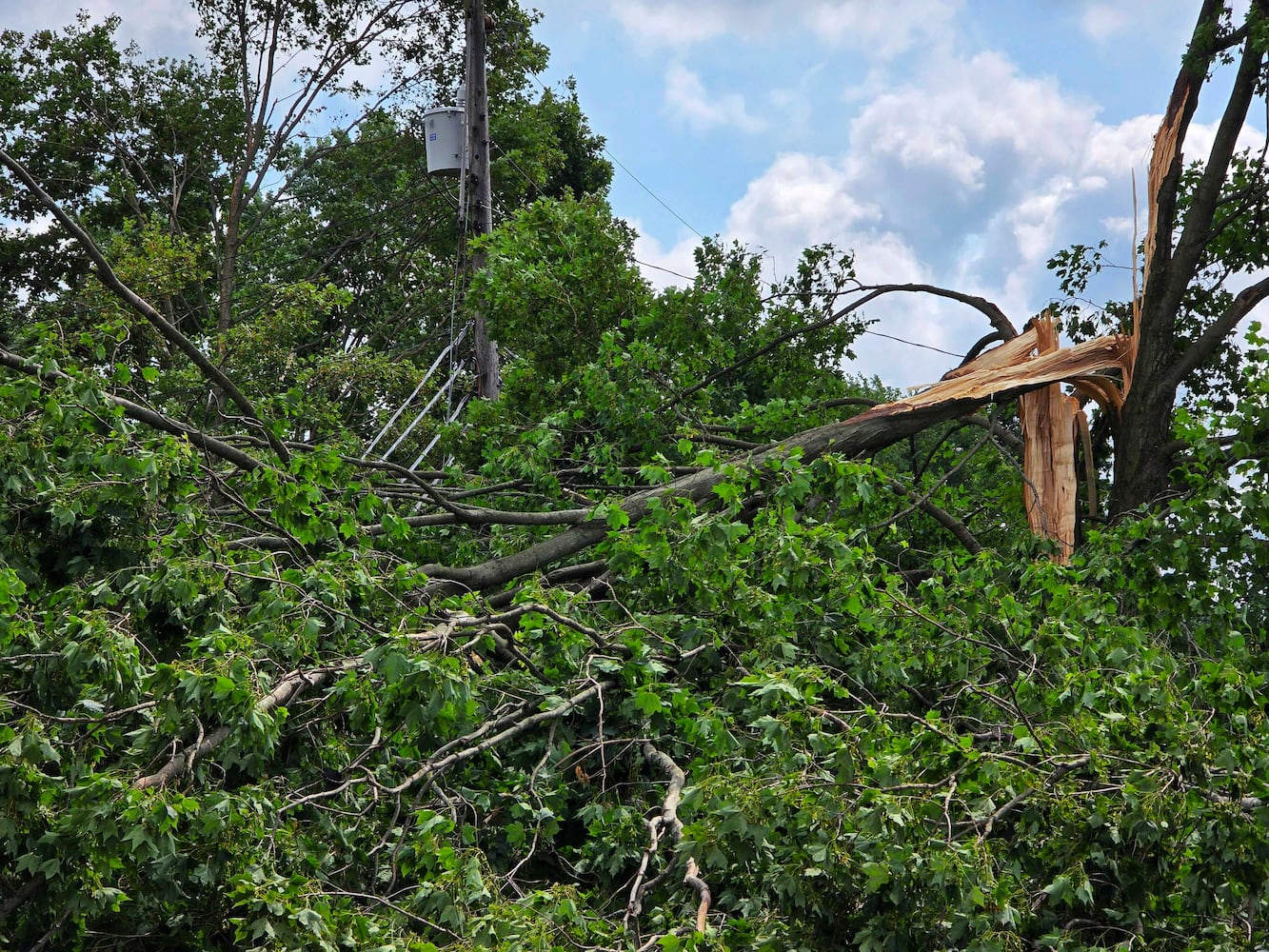 Severe weather Clark County July 20, 2025