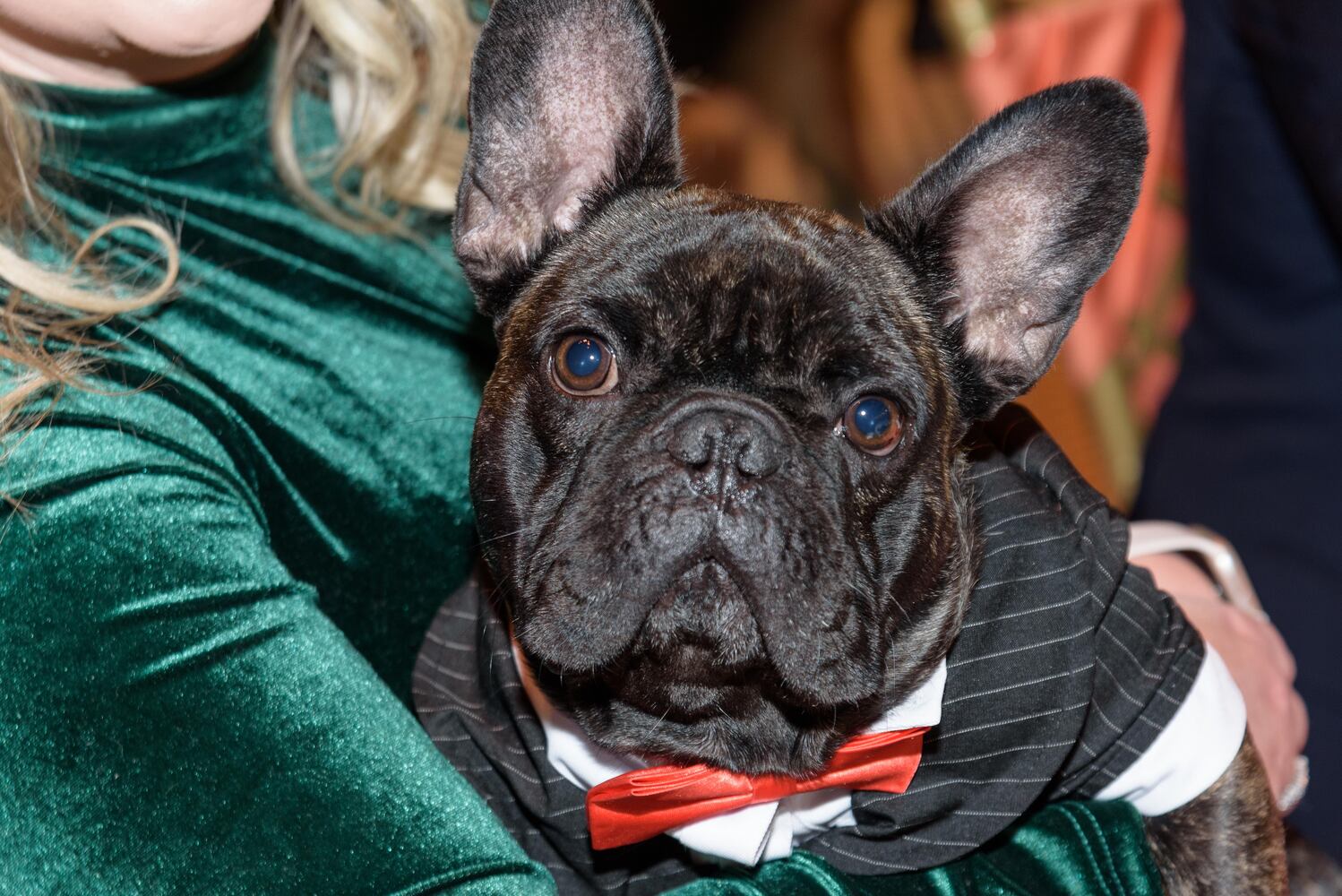 PHOTOS: Did we spot you at the Pet Afflaire Gala at the Dayton Arcade?