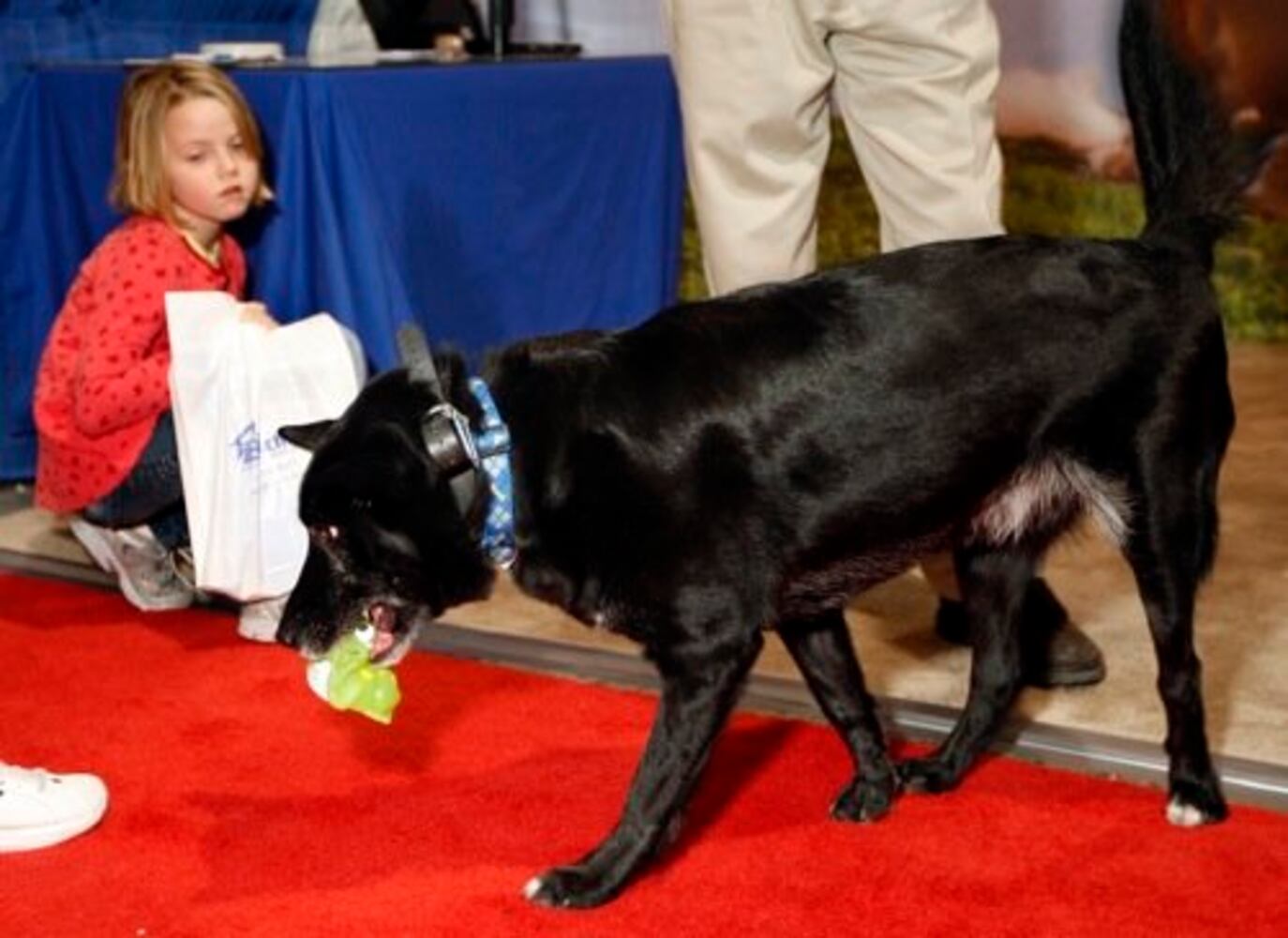 Homeworld 2011