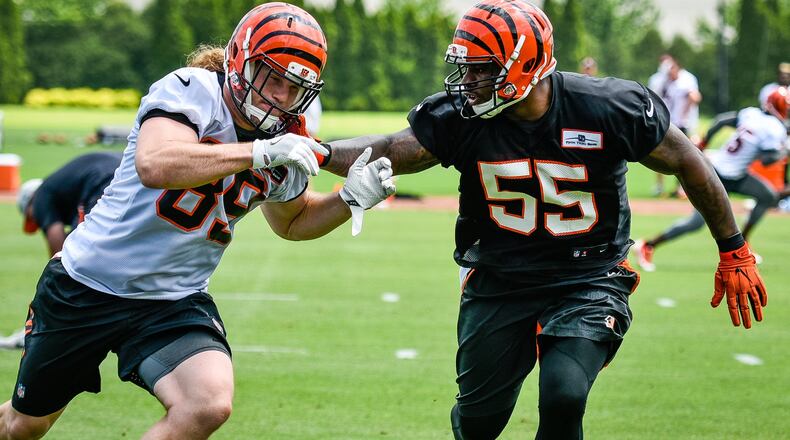 Bengals’ H-back Ryan Hewitt is defended by linebacker Vontaze Burfict (55) during organized team activities Tuesday, May 22, 2018, at the practice facility near Paul Brown Stadium in Cincinnati. NICK GRAHAM/STAFF